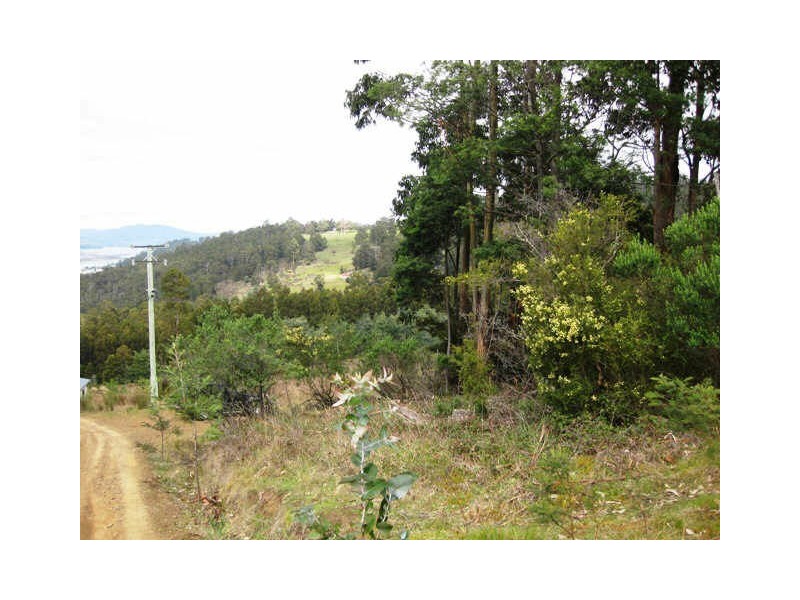 163 Morrisons Road, Huonville TAS 7109