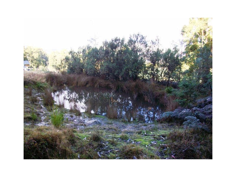 163 Morrisons Road, Huonville TAS 7109