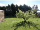 16 Adelong Drive, Kingston TAS 7050