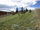 14 Malachi Drive, Kingston TAS 7050