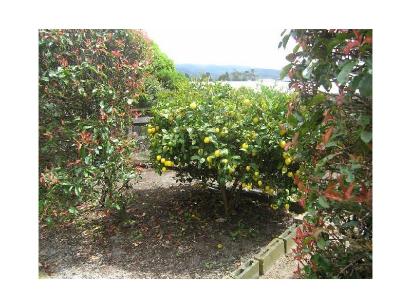 12 Willow Avenue, Kingston TAS 7050