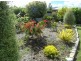 4 Welcome Avenue, Kingston TAS 7050