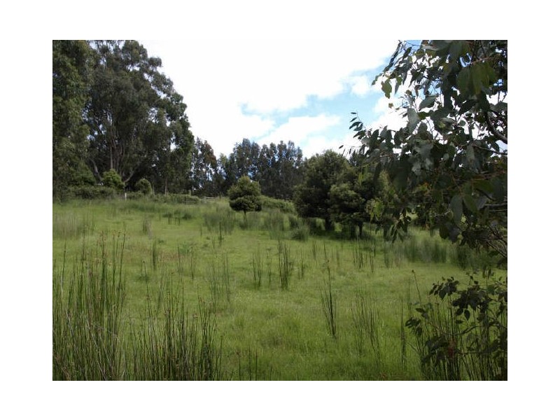 133 Cades Drive, Kingston TAS 7050