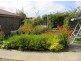6 Sonnat Drive, Kingston TAS 7050