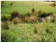 268 Arve Road, Geeveston TAS 7116