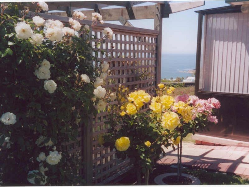 5 Timbertop Drive, Blackmans Bay TAS 7052