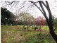 36 Cemetery Road, Geeveston TAS 7116
