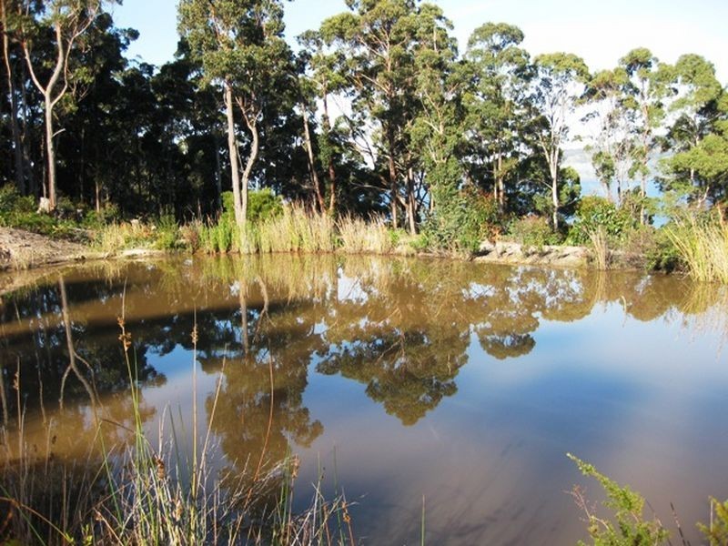 248 Cygnet Coast Road, Lymington TAS 7109