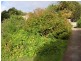 19 Sophia Street, Kingston TAS 7050