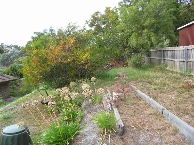 19 Sophia Street, Kingston TAS 7050
