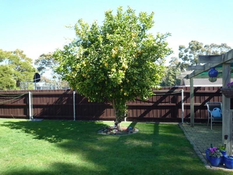 1 Ash Drive, Kingston TAS 7050