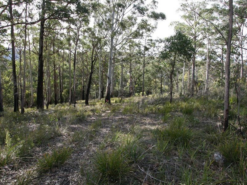 834 Sandfly Road, Longley TAS 7150