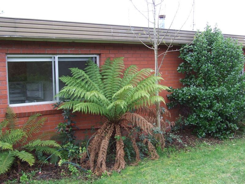 1/133 Wells Parade, Blackmans Bay TAS 7052