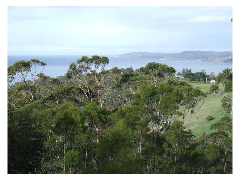 207 Albion Heights Road, Kingston TAS 7050