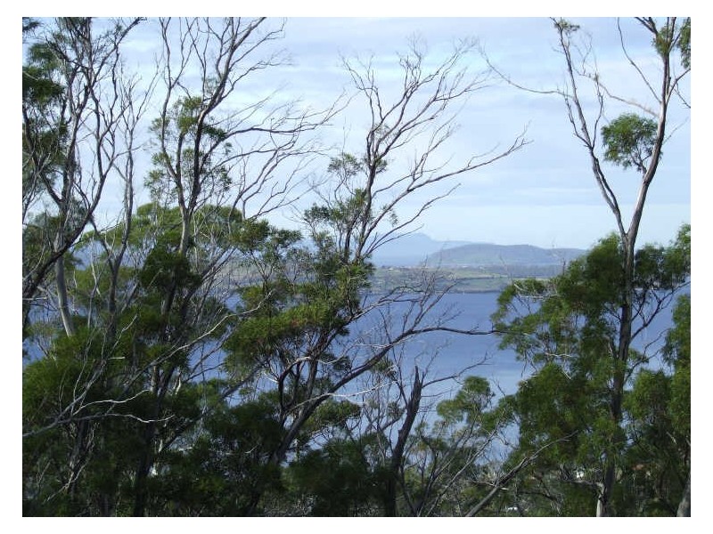 207 Albion Heights Road, Kingston TAS 7050