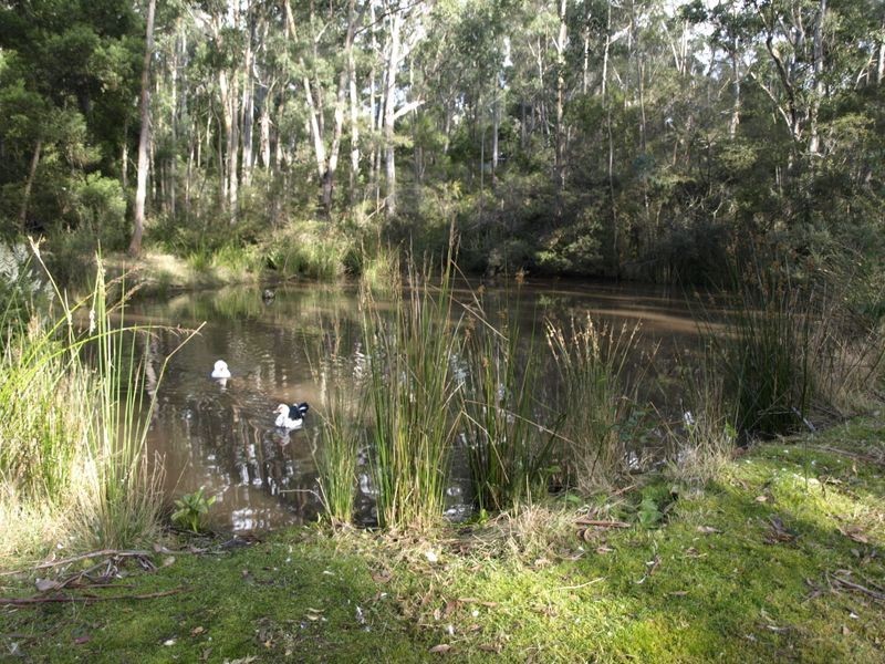 596 Sandfly Road, Sandfly TAS 7150