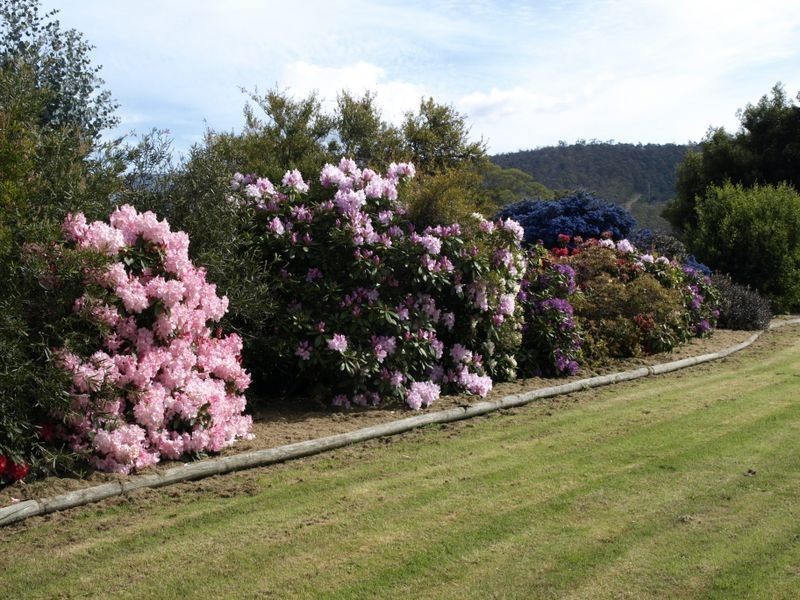 7 Blackwood Grove, Margate TAS 7054