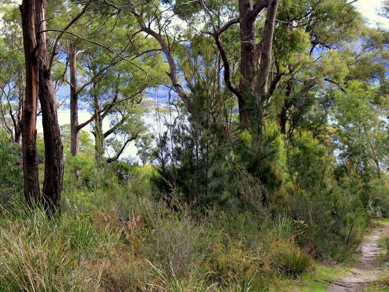 450 – 452 Tinderbox Road, Tinderbox TAS 7054