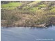 450 – 452 Tinderbox Road, Tinderbox TAS 7054