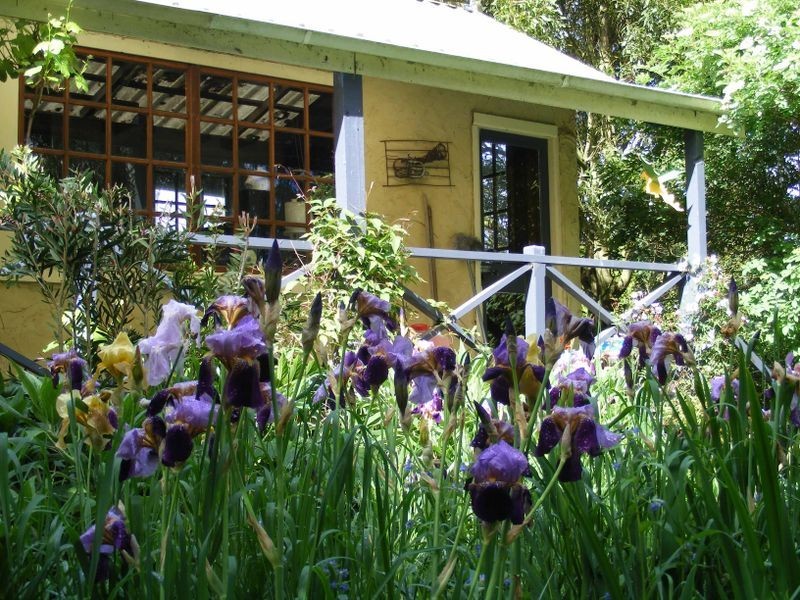 156 Graces Road, Glaziers Bay TAS 7109