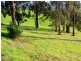 156 Graces Road, Glaziers Bay TAS 7109