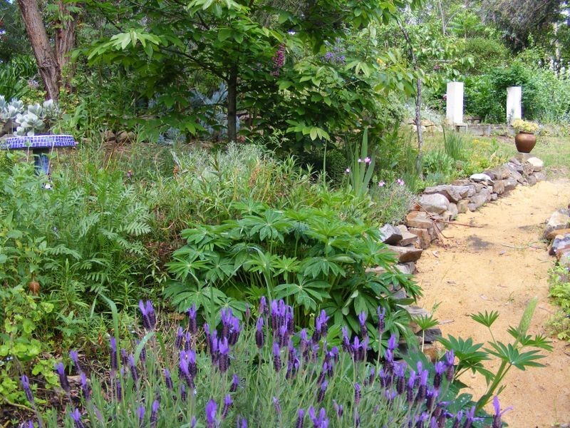 156 Graces Road, Glaziers Bay TAS 7109