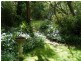 156 Graces Road, Glaziers Bay TAS 7109