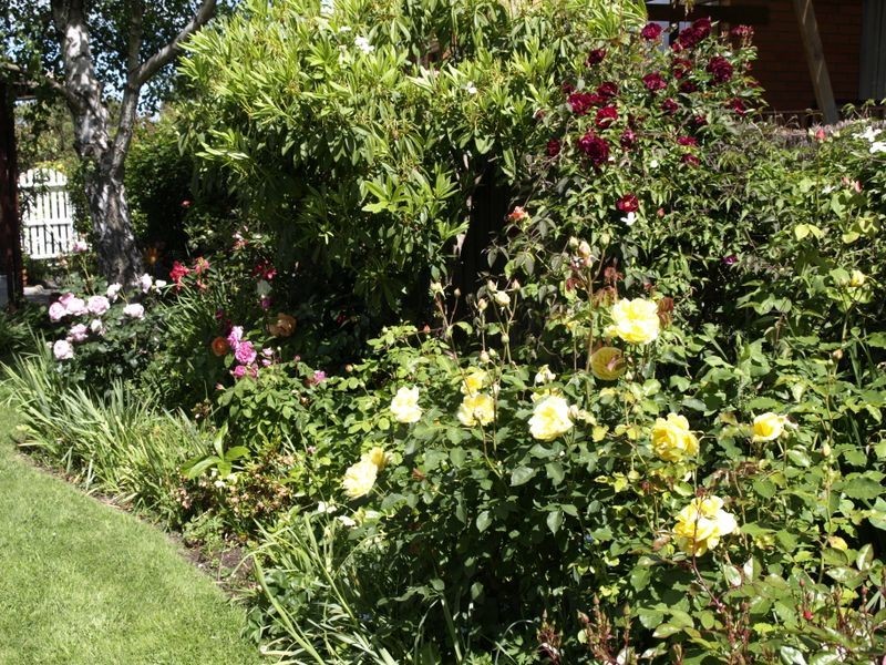 56 Suncoast Drive, Blackmans Bay TAS 7052