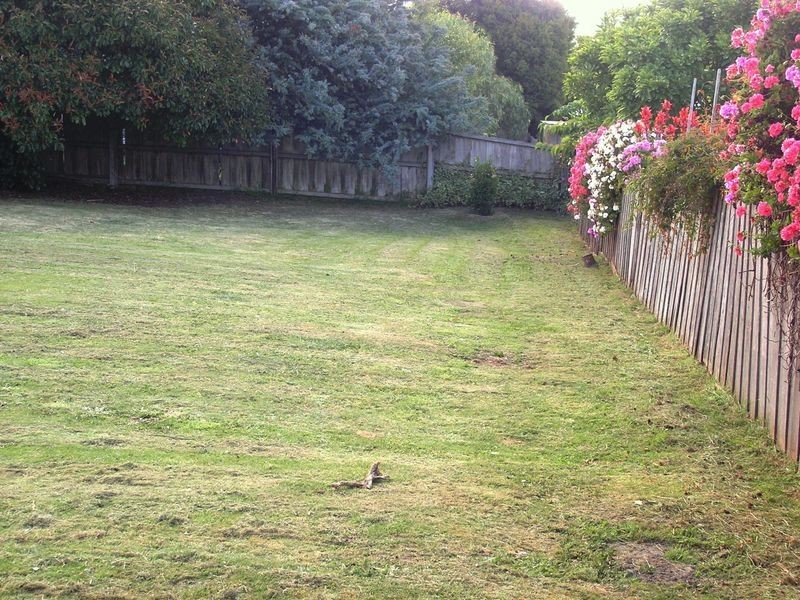 13 Swift Place, Kingston TAS 7050