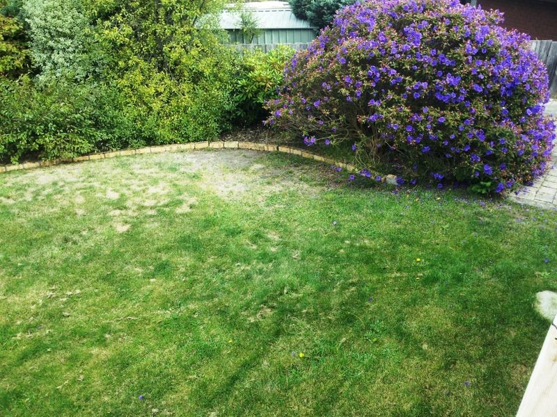 1 Birch Street, Kingston TAS 7050