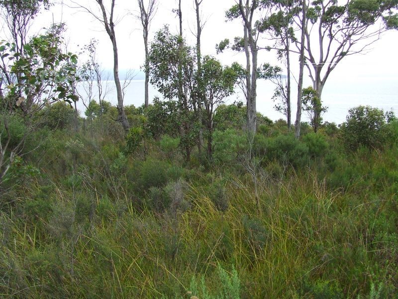 5158 Channel Highway, Gordon TAS 7150