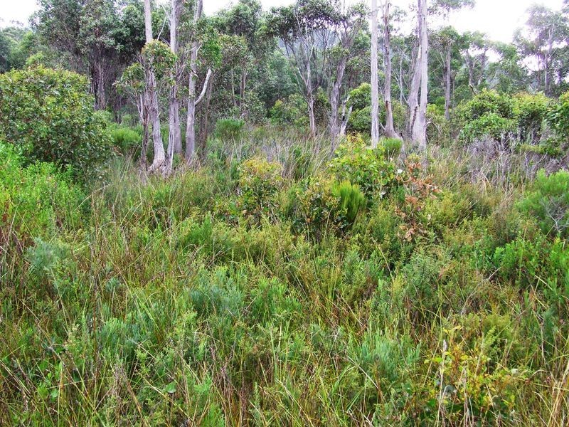 5158 Channel Highway, Gordon TAS 7150