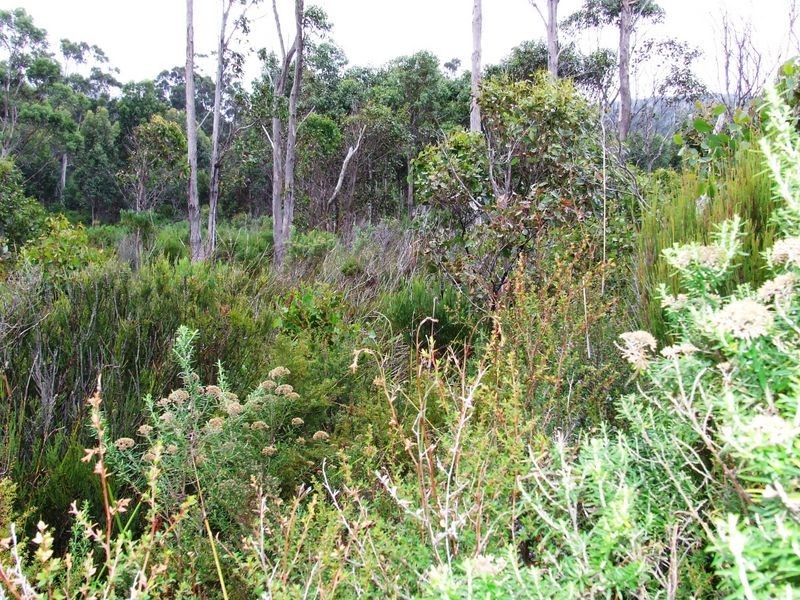 5158 Channel Highway, Gordon TAS 7150