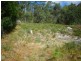 70 Lagoon Road, White Beach TAS 7184