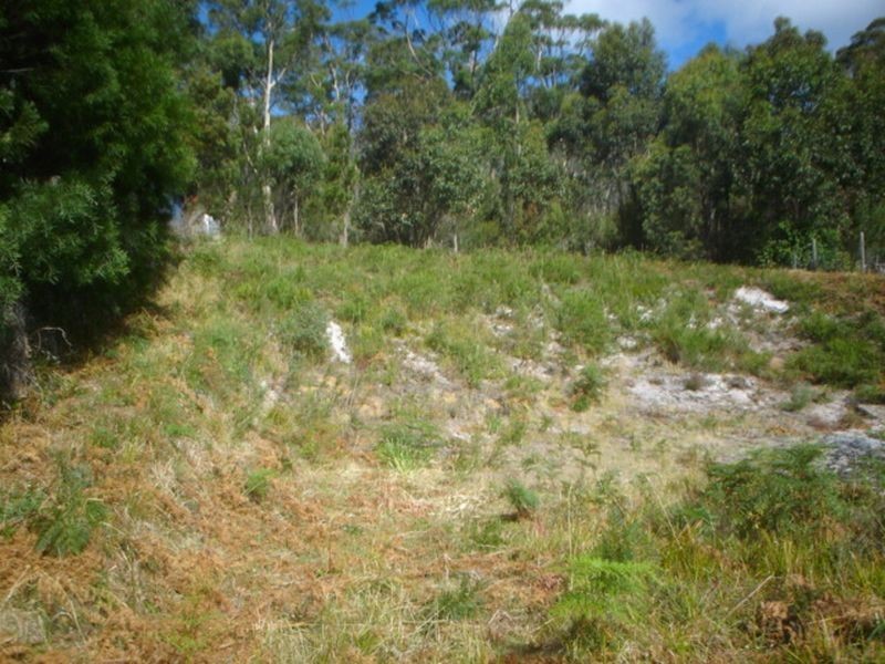70 Lagoon Road, White Beach TAS 7184