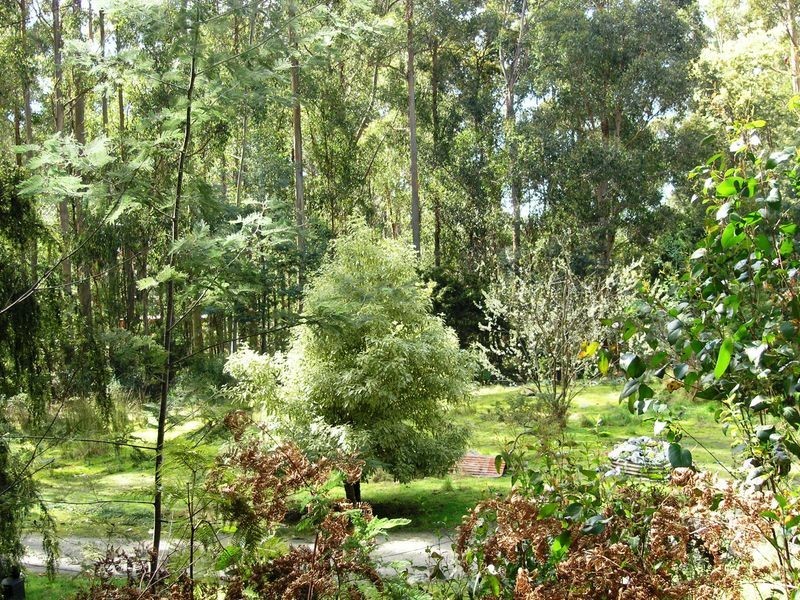 Lot 3 Coxs Road, Middleton TAS 7163