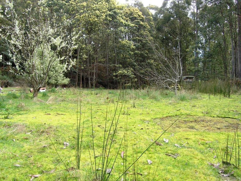 Lot 3 Coxs Road, Middleton TAS 7163