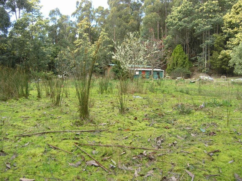 Lot 3 Coxs Road, Middleton TAS 7163