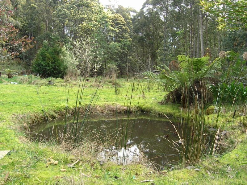 Lot 3 Coxs Road, Middleton TAS 7163