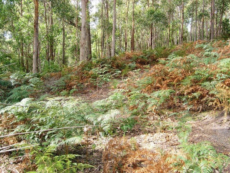 Lot 3 Coxs Road, Middleton TAS 7163