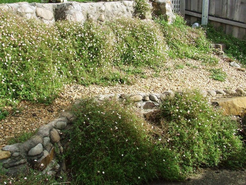 1000 Adventure Bay Road, Adventure Bay TAS 7150