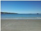 White Beach Tourist Park/128 White Beach Road, White Beach TAS 7184