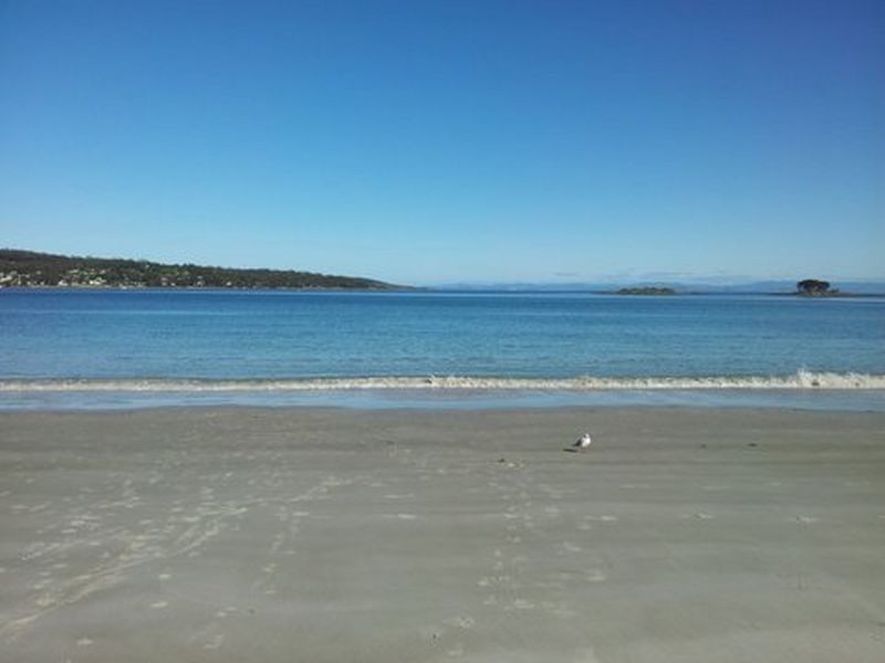 White Beach Tourist Park/128 White Beach Road, White Beach TAS 7184