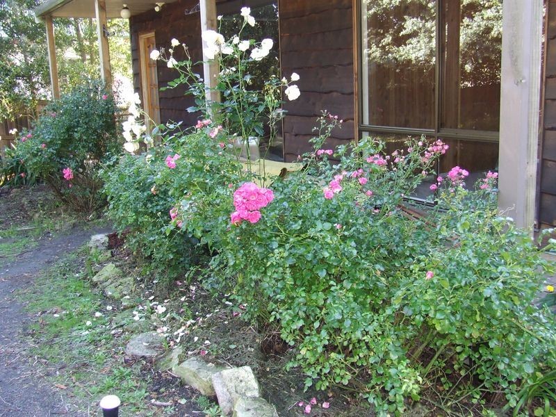 1/109 Main Road, Huonville TAS 7109