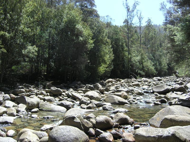 Lot 1 Betts Road, Neika TAS 7054
