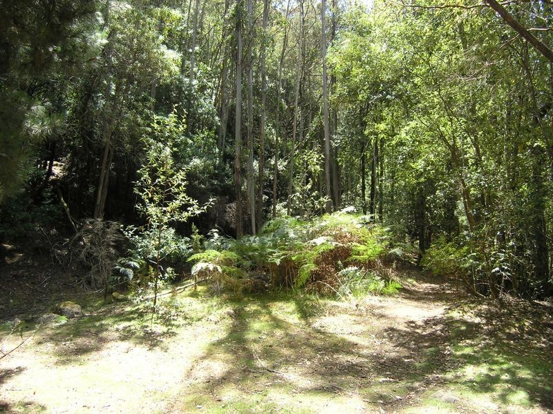 Lot 1 Betts Road, Neika TAS 7054