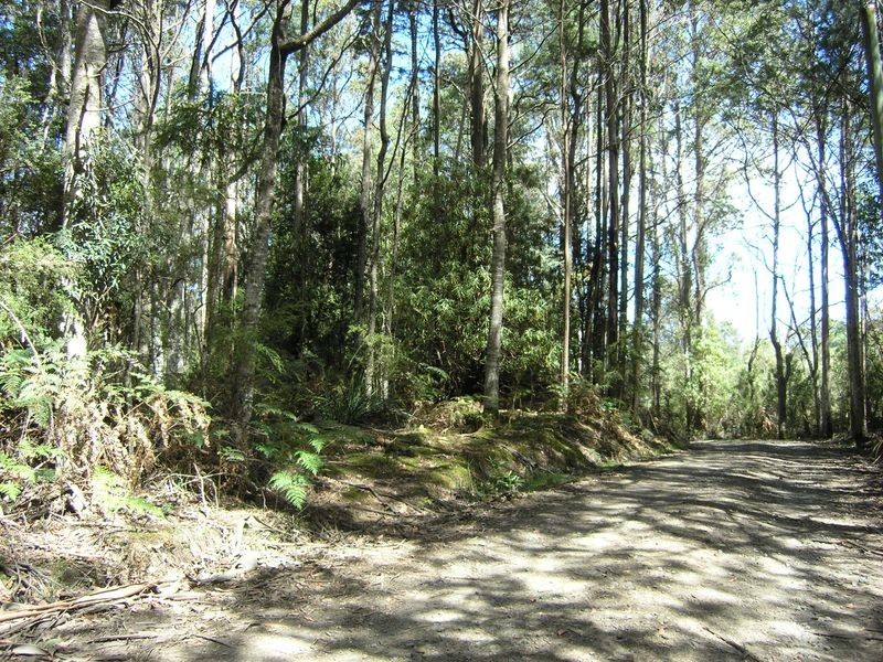Lot 1 Betts Road, Neika TAS 7054