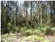 Lot 1 Betts Road, Neika TAS 7054
