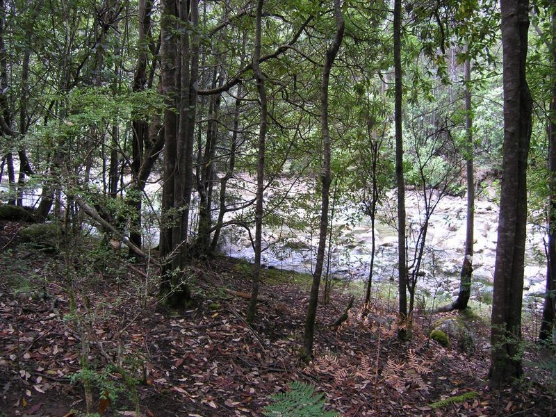 Lot 1 Betts Road, Neika TAS 7054