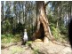 Lot 1 Betts Road, Neika TAS 7054